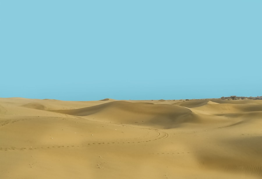 Camel silhouettes against desert dunes