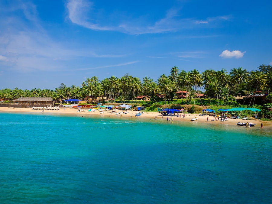 A palm-fringed beach on the Goan coast at golden hour