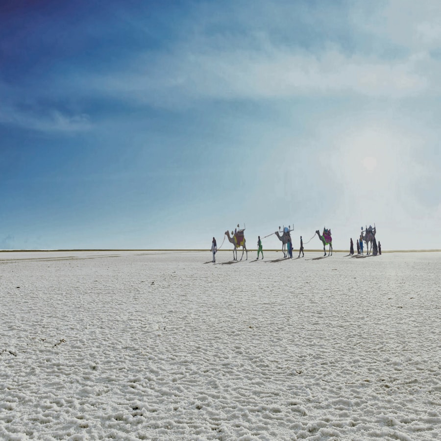 The white salt flats of the Rann of Kutch at twilight