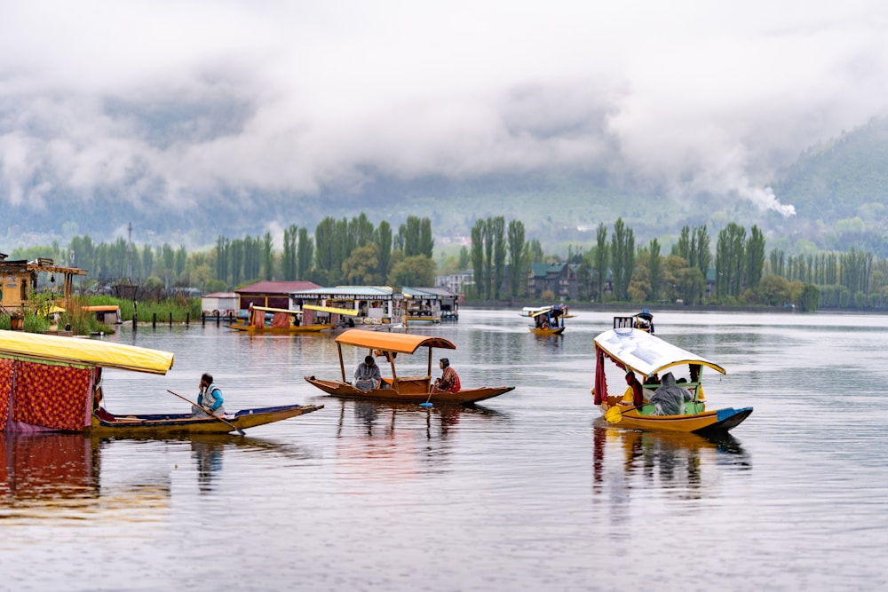 Saffron fields at Pampore in Kashmir