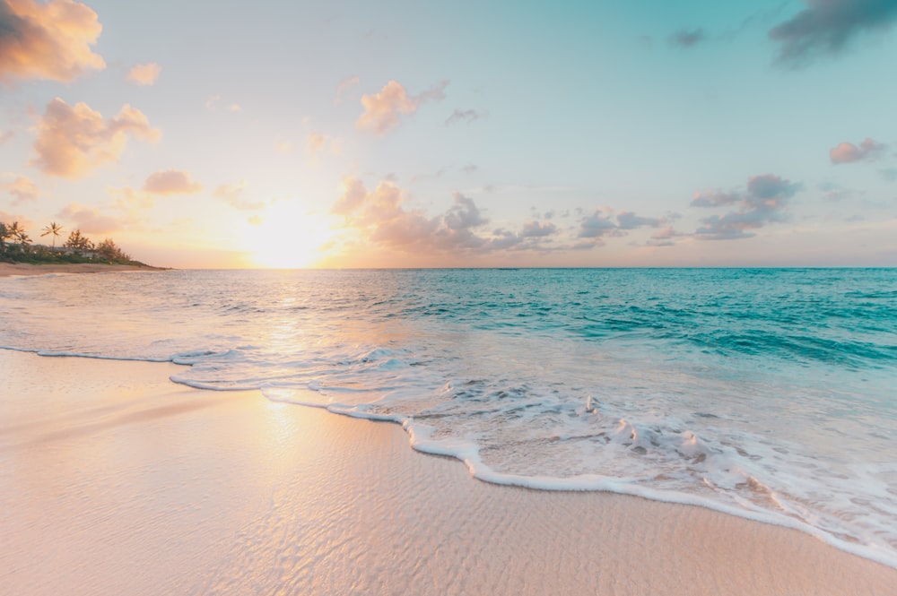 Golden-hour sun low over the sea, foam sliding up pale sand, palms at the edge of frame.
